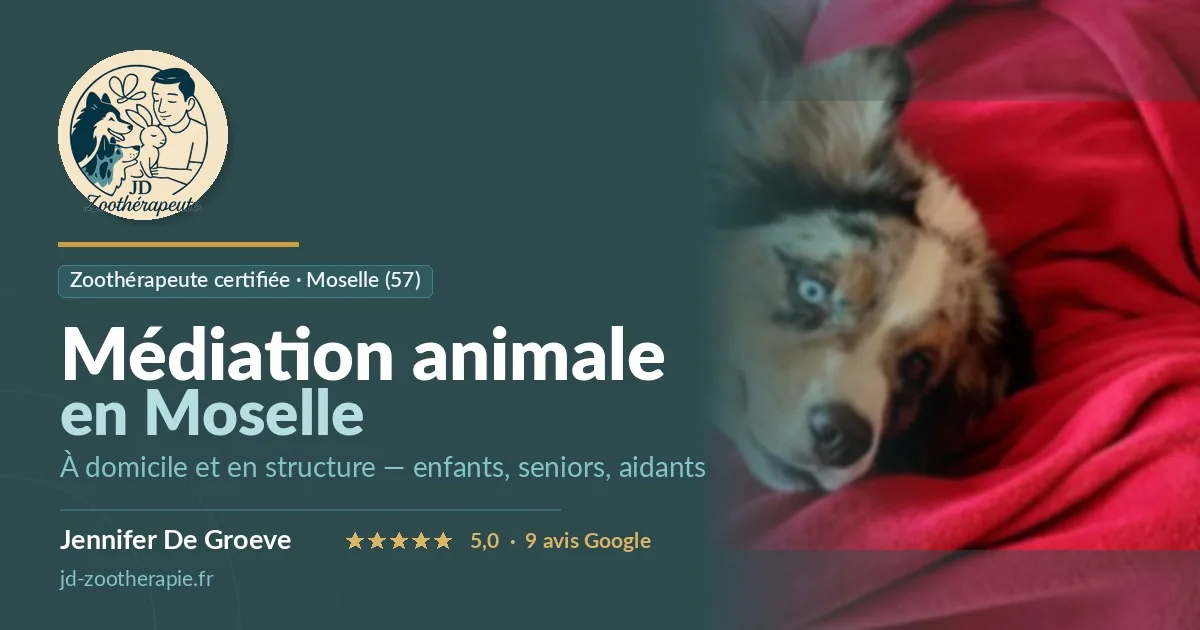 Screenshot of JD Zoothérapie